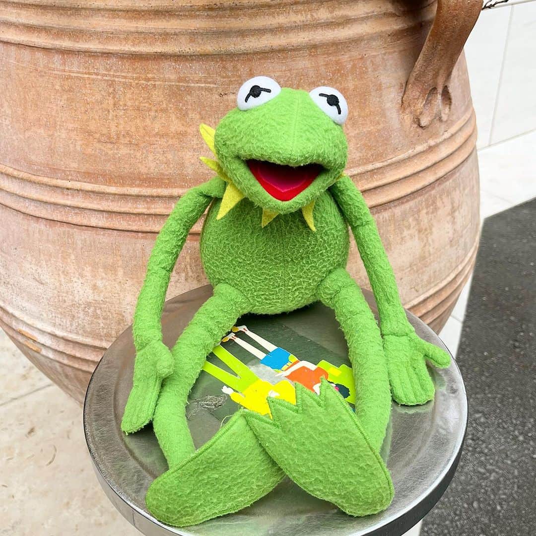 おもちゃやSPIRALのインスタグラム：「vintage kermit orgel plush 入荷しました❗️  ちょっと切ない音楽が流れます😝 癒されます〜🎵」