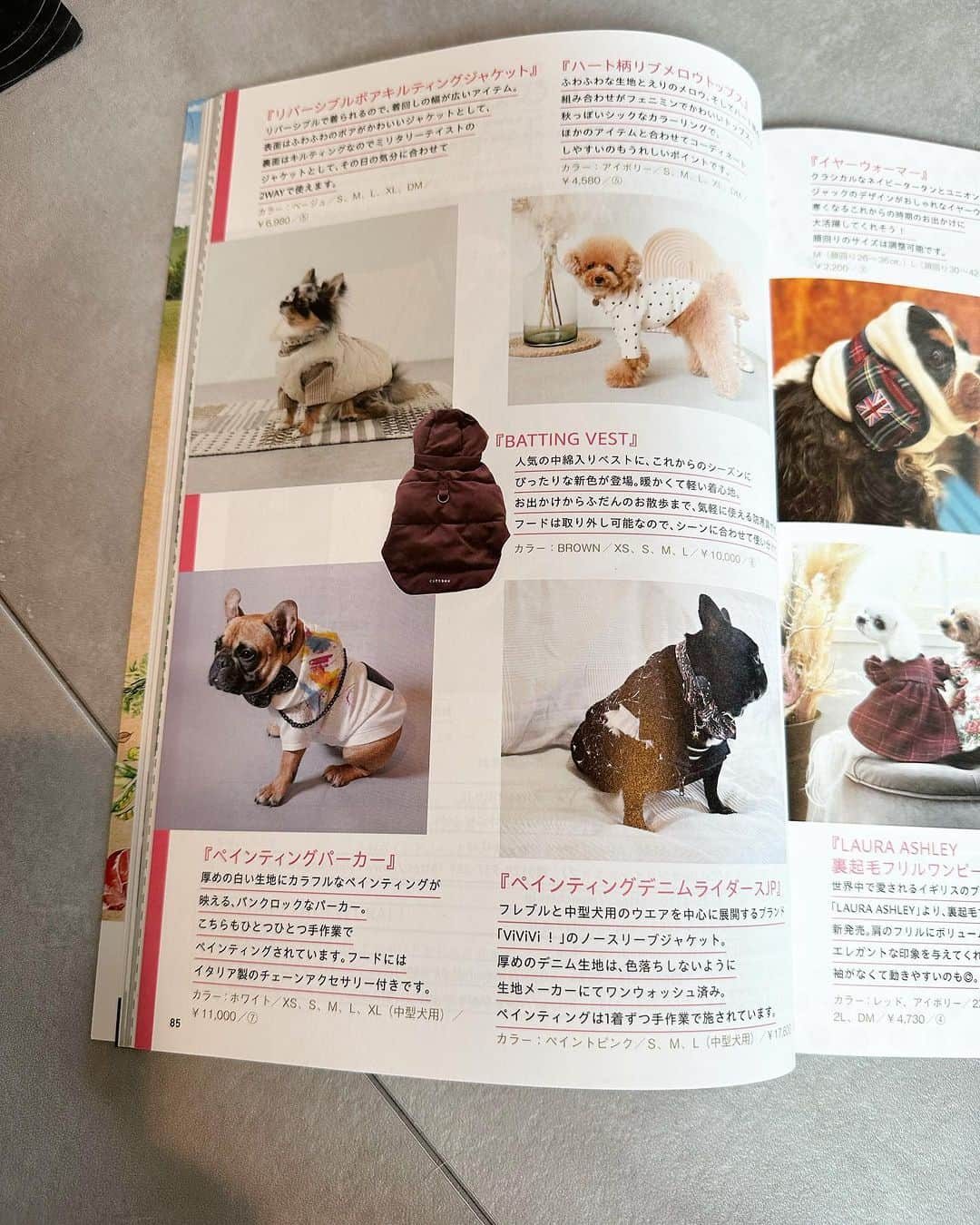 wow!-onlineのインスタグラム：「雑誌、Wan 秋号に掲載🆙されました😘 @wan_magazine   こちらのワンちゃん雑誌､前回のフレブル号でも特集を組んでいただきました😉今回は災害への備え。 みなさんも、災害に備えて準備しつつ､幸せなワンコライフをおくりましょう🥰  #ViViVi #フレンチブルドッグの服 #犬服 #instafrenchie  #instafrenchies  #frenchiephotos  #フレブル  #ブリンドル  #ブヒ  #フレンチブルドッグ #フレブルのいる生活 #高級犬服 #ハイブランド犬服 #bulldog  #doglove  #frenchielove #frenchielife  #buhi  #lovemydog  #lovemydogs  #daily_frenchie  #frenchies1b  #프렌치불독 #フレブル好きと繋がりたい #フレブル部」