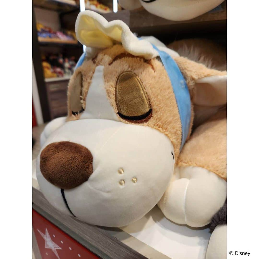 KIDDY LAND officialさんのインスタグラム写真 - (KIDDY LAND officialInstagram)「#ディズニーアベニュー東京駅店 からお知らせ💤  スヤスヤかわいい顔の抱き枕が入荷しました♪ プレゼントにもピッタリ🎁♡  ♡ モチハグ抱き枕 ♡ Sサイズ 3080円 Mサイズ 4180円 Lサイズ 5280円   ※東京駅では通販(現金書留対応)も行っております✨ お電話でお問い合わせくださいませ。 ☎️03-6259-1620  #disney #ディズニー #kiddyland #キデイランド #ピーターパン #ナナ #シンデレラ #ルシファー  #リトルマーメイド  #マックス #dog #cat #犬 #猫」9月16日 15時35分 - kiddyland_co.jp