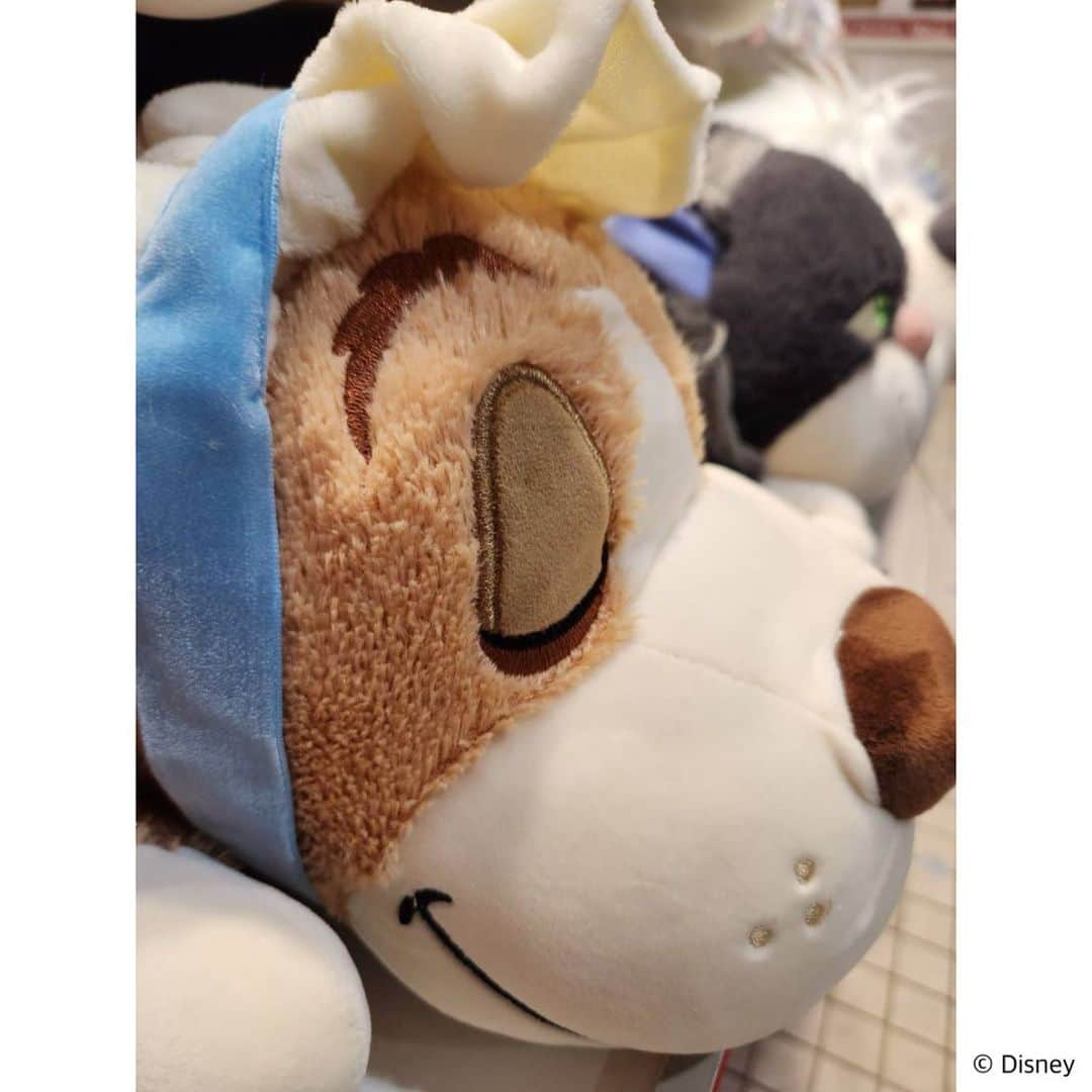 KIDDY LAND officialさんのインスタグラム写真 - (KIDDY LAND officialInstagram)「#ディズニーアベニュー東京駅店 からお知らせ💤  スヤスヤかわいい顔の抱き枕が入荷しました♪ プレゼントにもピッタリ🎁♡  ♡ モチハグ抱き枕 ♡ Sサイズ 3080円 Mサイズ 4180円 Lサイズ 5280円   ※東京駅では通販(現金書留対応)も行っております✨ お電話でお問い合わせくださいませ。 ☎️03-6259-1620  #disney #ディズニー #kiddyland #キデイランド #ピーターパン #ナナ #シンデレラ #ルシファー  #リトルマーメイド  #マックス #dog #cat #犬 #猫」9月16日 15時35分 - kiddyland_co.jp