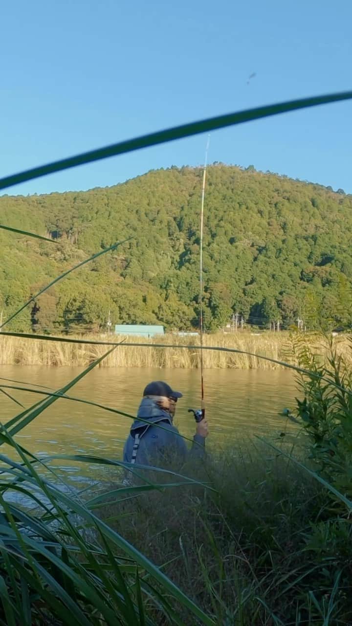 Ｋのフィッシングちゃんねるのインスタグラム：「秋はぶん投げてグリグリ巻けばお魚が釣れます🐟  #釣り #fishing」