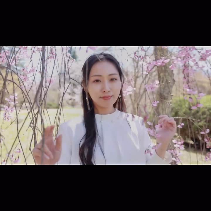 のインスタグラム：「♍️  #桜 #さくら #撮影 #mc #キャスター #リポーター #モデル #shooting #動画撮影 #神戸麻衣」
