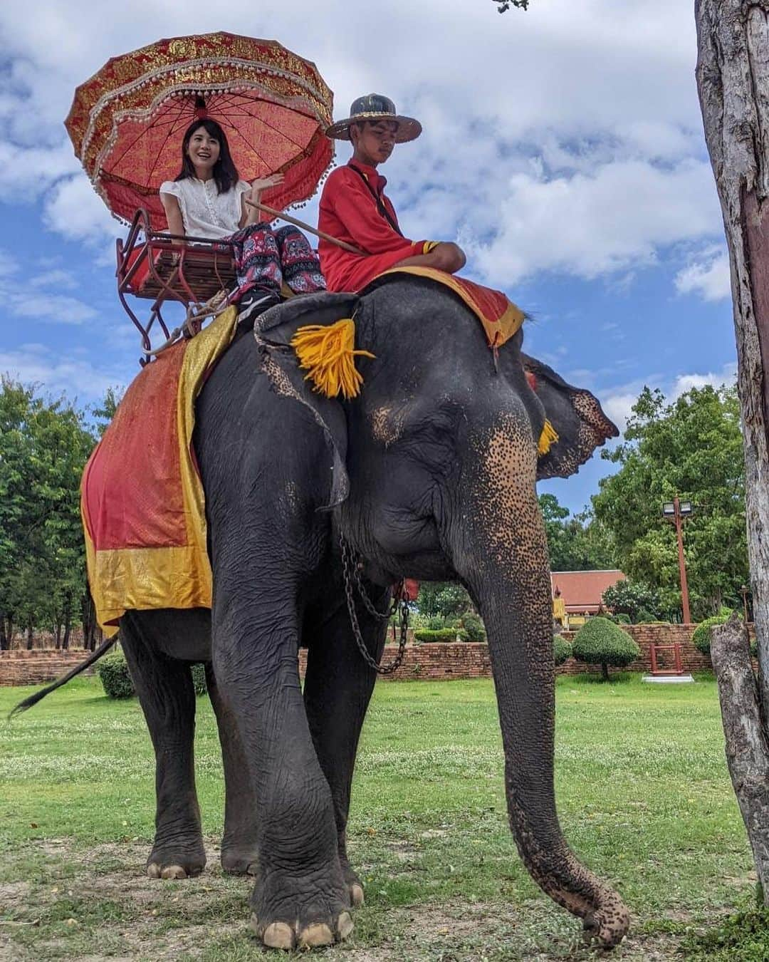 東條麻依子のインスタグラム：「ゾウにも乗りました🐘🇹🇭✨ . 目線が高い😳貴重な経験でした 後ろ姿も可愛かった！ . #アユタヤ遺跡#タイ#アユタヤ#ゾウ#🇹🇭#🐘#目線#高い」