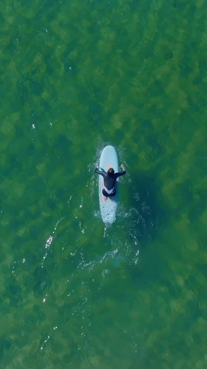 サリー・フィッツギボンズのインスタグラム：「Slidin through the weekend all stoked 🌊 ☀️  ————- Sally Fitz @softech_softboards @fcs_surf available in stores and online 🤙🏼」