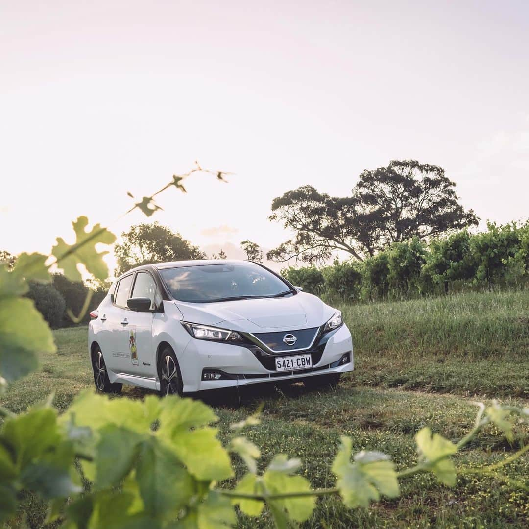 Nissanさんのインスタグラム写真 - (NissanInstagram)「Joseph Evans is daring to do things differently at Ballycroft Winery in Australia... During the day his property is powered by sunshine, while at night his Nissan LEAF, and its Vehicle-To-Grid capability, takes over! ⚡️   #Nissan #NissanLEAF #Daring23 #EV #ElectricVehicle #Electric」9月17日 3時51分 - nissan