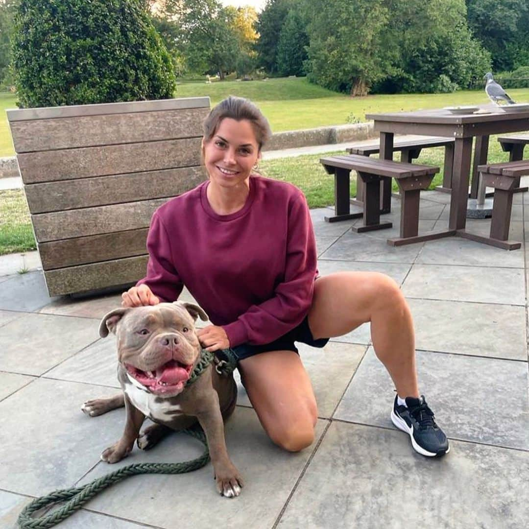 ルイス・グローバーのインスタグラム：「#americanxlbully Today our prime minister rishisunakmp said by end of the year #xlbully #AmericanBully dog breed will be banned in 🇬🇧  • To @rishisunakmp NO Dogs Should be culled! You’ve got the  wrong end of the Leash!!! PLEASE STOP ✋ From: a rescue dog coach  • #americanbulldog #bullydog #xlamericanbully #dogcoach #animallover #animalsbestinterest #doglovers #americanbullies #doberman #dogs #lovealldogs  • • ** STANDING UP FOR THOSE WITH NO VOICE *** • #dogtraining dogbehaviourist #dogtrainer #dogwalker #animalprotection #dogsofinstagram  #americanxlbully #bullydog #americanbully #doglover #loveallanimals #dogoftheday」