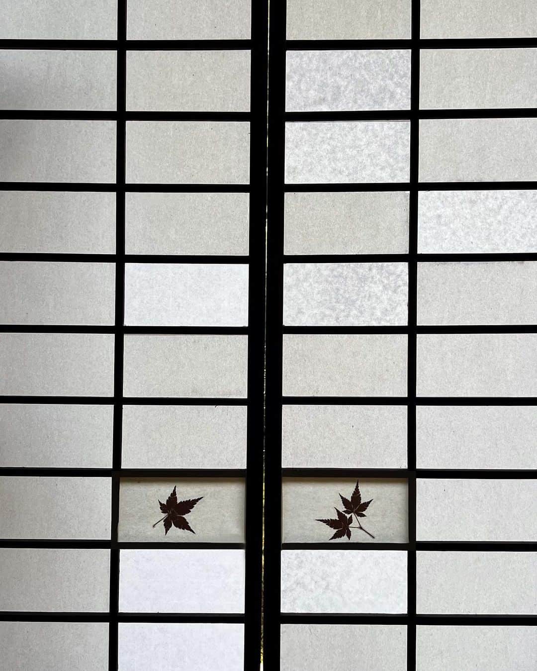 NATALIE LIAOさんのインスタグラム写真 - (NATALIE LIAOInstagram)「Little moments of visual pleasure ⛩️🏮🪭♥️  #kyotojapan #kyototravel #japantrip #summerinjapan」9月17日 4時24分 - fongminliao