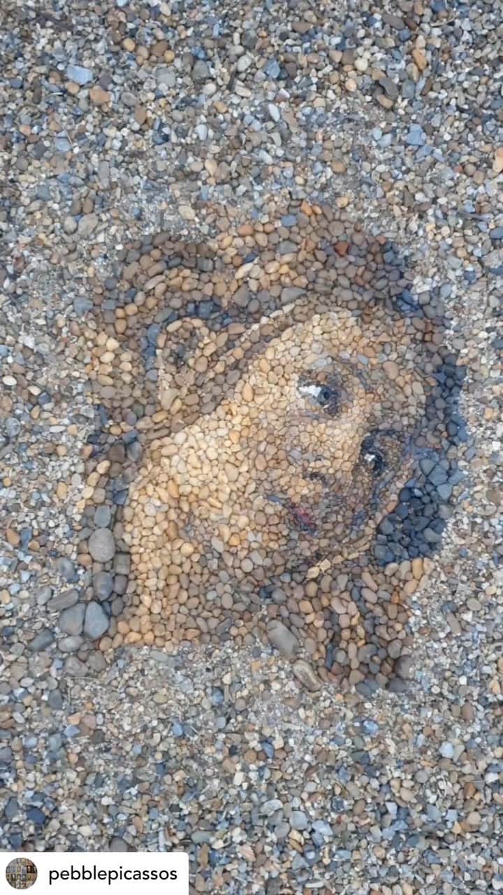ValGarlandのインスタグラム：「Set In Stone … 🖤🖤🖤  Mystifying artwork by @pebblepicassos   #valspiration #somthingfortheweekend #dingdong #valgarland」