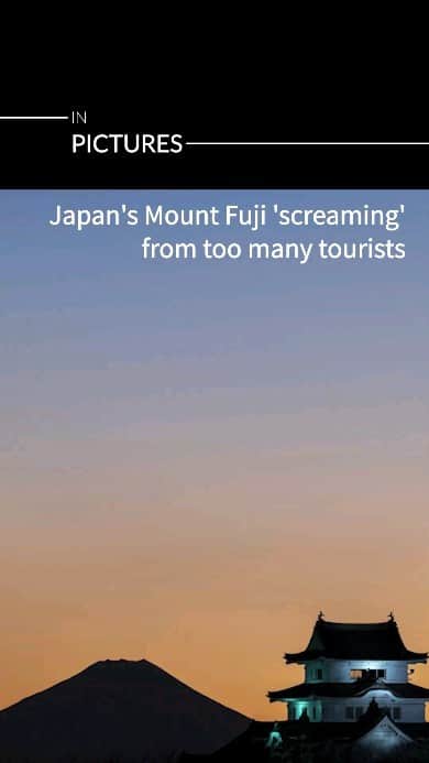 AFP通信のインスタグラム