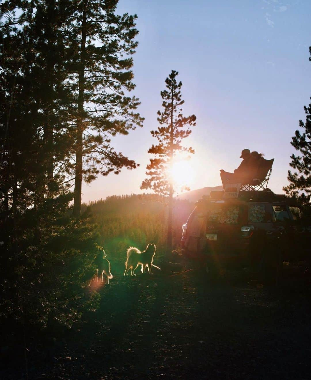 ケルティさんのインスタグラム写真 - (ケルティInstagram)「Find yourself a seat with a view! 📸 @4funnerz found a nice lil' golden hour spot! 🌄 😎⁠ ⁠ (Puppers prefer their paws on solid ground 🐾)⁠ ⁠ #keltybuilt #builtforplay #getoutside」9月16日 20時00分 - keltyusa