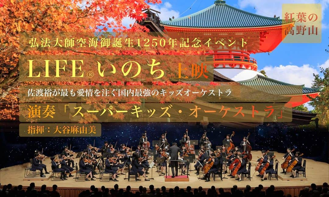 橋本昌彦のインスタグラム：「人生で一度は観ておきたい 絶景　紅葉の高野山🍁  弘法大師空海御誕生1250年記念イベントとして LIFE®︎いのち×オーケストラで奏でます  ARTで悟る体験を体感して下さい。  私のおすすめは 2日に高野山に泊まってもらって 夜のライトアップされた紅葉と聖地の静けさを味わって欲しいです  また近日、ビッグニュース発表します！  光栄にも 世界遺産金剛峯寺HPに掲載して頂きました。 是非ご覧下さい。  https://www.koyasan.or.jp  お申し込みはこちら👉 https://www.life-planetarium.com/koyasan11  #高野山  #空海  #オーケストラ  #lifeいのち  #🎊  #lifeいのち✖️橋本昌彦こころのコンサート  #佐渡裕  #和歌山  #紅葉スポット  #紅葉  #絶景  #古神道  #神道  #聖地  #聖地巡礼  #旅行  #スーパーキッズオーケストラ  #スーパーキッズ #art  #artで悟る #悟り #一人旅」