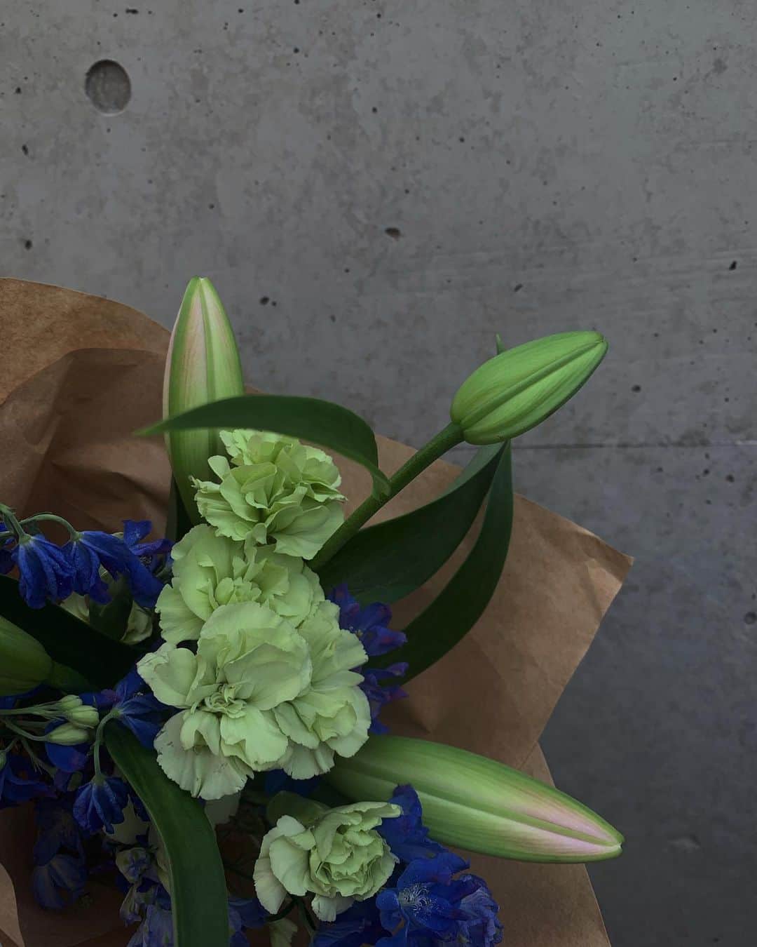 若本美夏海のインスタグラム：「ちょっと前の祖母のお誕生日。  祖母の好きな青いお花に🪻🪻」