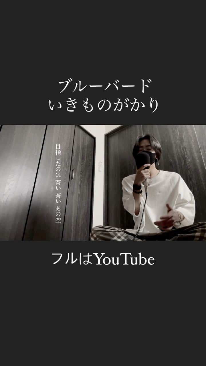 しゅんのインスタグラム：「. . ブルーバード / いきものがかり(cover)  ▪️Vocal : @429_shun  ▪️MIX : @ryo_idogawa   #ブルーバード #いきものがかり #シズクノメ #ナルト #NARUTO . .」