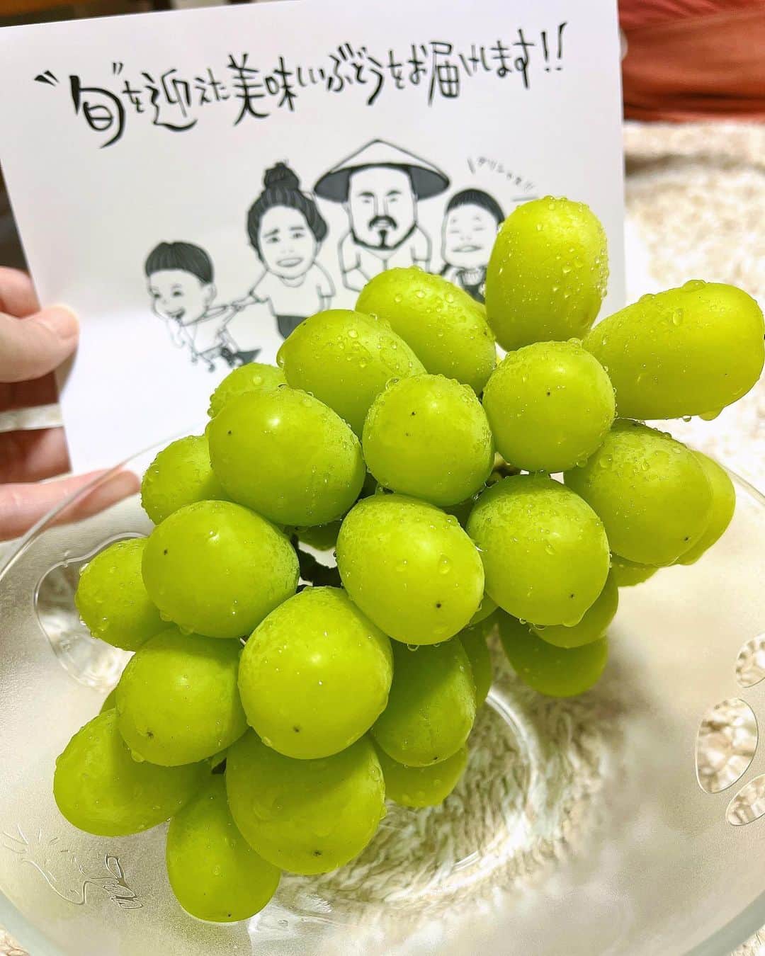 八代みなせのインスタグラム：「シャインマスカットの季節🍇🐨  色んな思いが詰まった大切な一粒。 毎年変わらず美味し過ぎる一粒。  ありがとう♡ ⁡ #ブドウヤソライチ  #シャインマスカット  #長野 #葡萄  #秋の味覚 #fruit  #haveagoodtime  #haveagoodday」