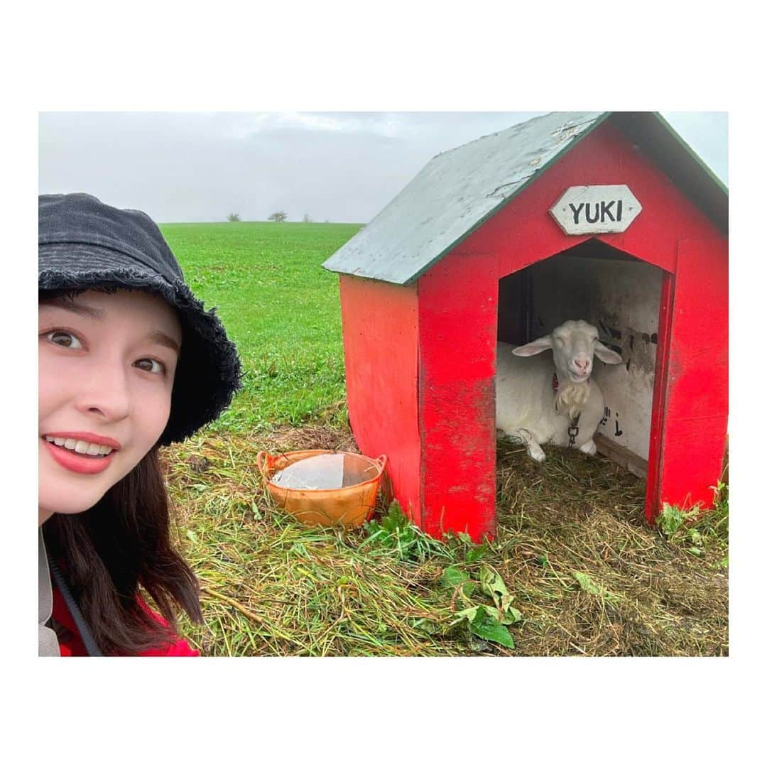 宇賀神メグさんのインスタグラム写真 - (宇賀神メグInstagram)「🐐  . .  夏休みを頂きました。  牧場にいた、ヤギの『ゆきちゃん』⛄️ 名前を呼んだらこちらを向いてくれたんです！ 可愛くて癒されました〜☺  . .  #ヤギ #ゆきちゃん #牧場 #夏休み #北海道」9月16日 20時44分 - ugajin_megu