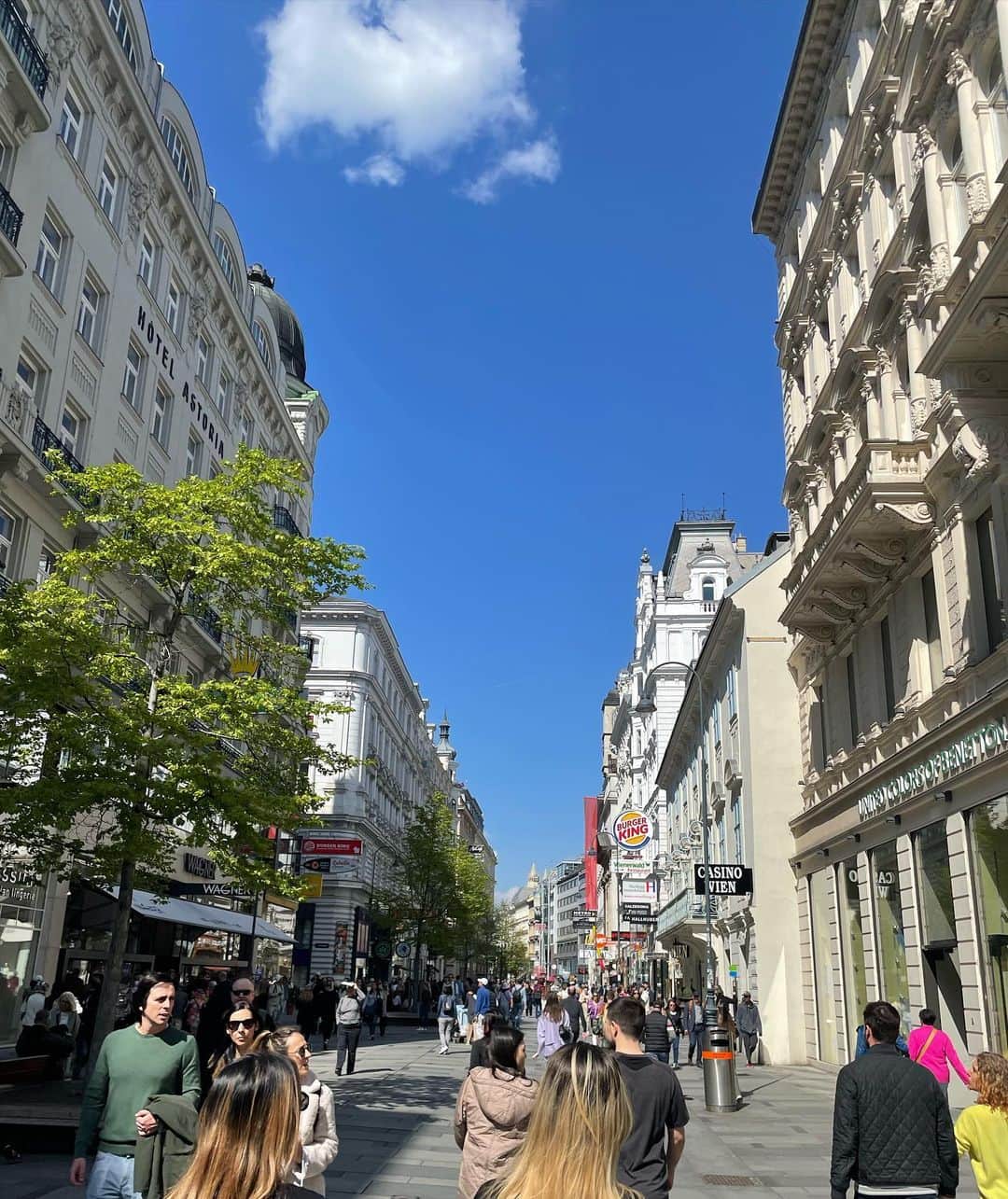 杉本雛乃さんのインスタグラム写真 - (杉本雛乃Instagram)「#Vienna #tb どこに行っても綺麗、美味しい、 そして何よりムーティのウィーンフィルが本当に今でも忘れられない🥹 弾丸でしたが最高でした✨」9月16日 20時49分 - hinano_sugimoto