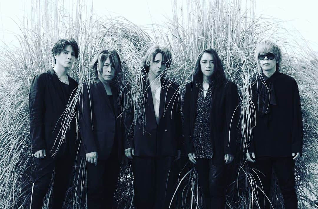 のインスタグラム：「デビュー前に新宿ロフトのライブで 「kissing blue memories」のデモテープを配布した。あれから28年。 復活SOPHIAの渾身のLIVE獅子に翼V。 集まる仲間達全員に このクソみたいな現実を、 それでも生きる勇気となる 楽曲を、手渡ししたかったんだ  #SOPHIA 10年ぶりの新曲 タイトル　ーあなたが毎日直面している世界の憂鬱ー 「獅子に翼V」来場者全員 CD無料配布 決定  #新曲無料配布 #獅子に翼新曲 #SOPHIA新曲」