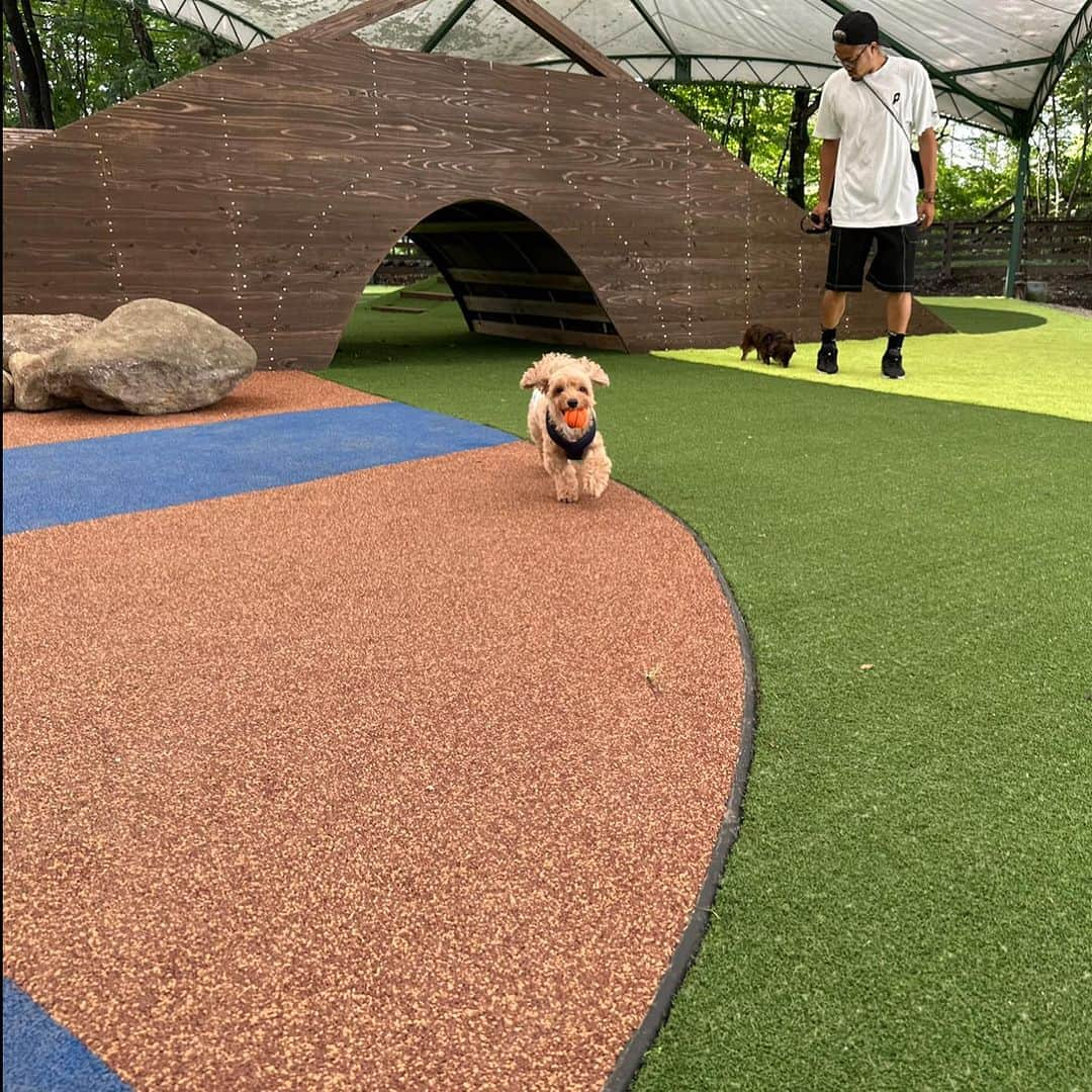 田中パウロ淳一さんのインスタグラム写真 - (田中パウロ淳一Instagram)「愛犬も一緒に楽しめて、家族みんなの疲れを癒せるホテル。 部屋には愛犬も入れる露天風呂があり、ロンとルイも気持ち良さそうでした。ロンは寝てました😆  ドッグランも3つあり、それぞれ特大、屋根付き、小型犬用ウッドチップがあり、時間が足りないくらい遊べちゃう。  その疲れもまた露天風呂で癒して、サウナで自分と向き合い、最後は室内風呂の100%天然温泉で最高な時間を堪能してリラックスして寝落ちしました😎💪  写真で分かると思うけど、ここは最高すぎた！！🤣  PR @hotel_foresthills #犬と泊まれる宿 #ペットと泊まれる宿 #ペット #犬 #犬のいる暮らし #犬と旅行 #フォレストヒルズ那須 #那須ホテル」9月16日 21時03分 - tanakapaulojunichi