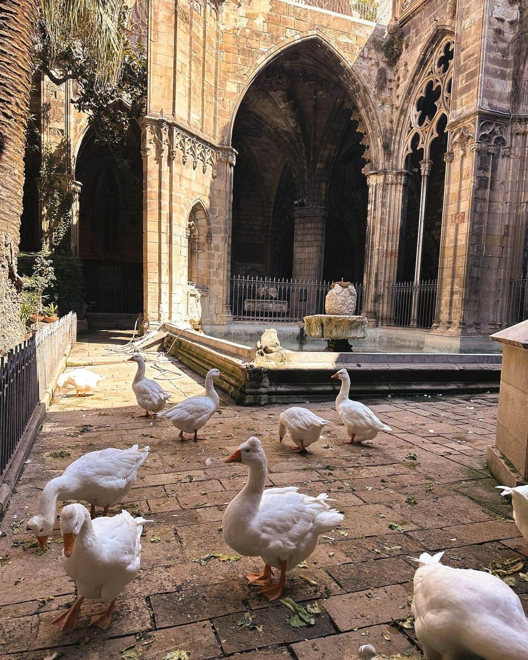 ウリアナ・ドンスコワさんのインスタグラム写真 - (ウリアナ・ドンスコワInstagram)「Barcelona 😍  Этот город покорил моё сердце навсегда 💔   Постаралась захватить максимум за своё недолгое пребывание.   Путешествие в одиночку в такой большой и насыщенный город - лучшее решение 👌   Есть конечно одно НО для того, чтобы путешествовать одной. Я говорю на английском и уже почти говорю на испанском. Если бы я пожила пару месяцев в Испании , то уже свободно бы смогла говорить. Теперь цель заселиться в Испанию на пару месяцев, чтобы раскачать язык до уровня - говорю ✅  Путешествия - это то, что меня наполняет, вдохновляет и заряжает.   Следующая остановка - новая страна в моём списке! Это будет страна номер 40.   P.S. подошел ко мне знакомиться англичанин на площади, хотел позвать выпить кофе. я остановилась из вежливости поболтать, всегда так делаю, даже если мне неинтересно и хочу поскорее уйти. и вот он мне говорит, «ну что, здесь лучше чем в России?» я говорю «нет, Россия лучшая страна в мире». он «ну ладно, пока» 😂」9月16日 21時07分 - uliana12