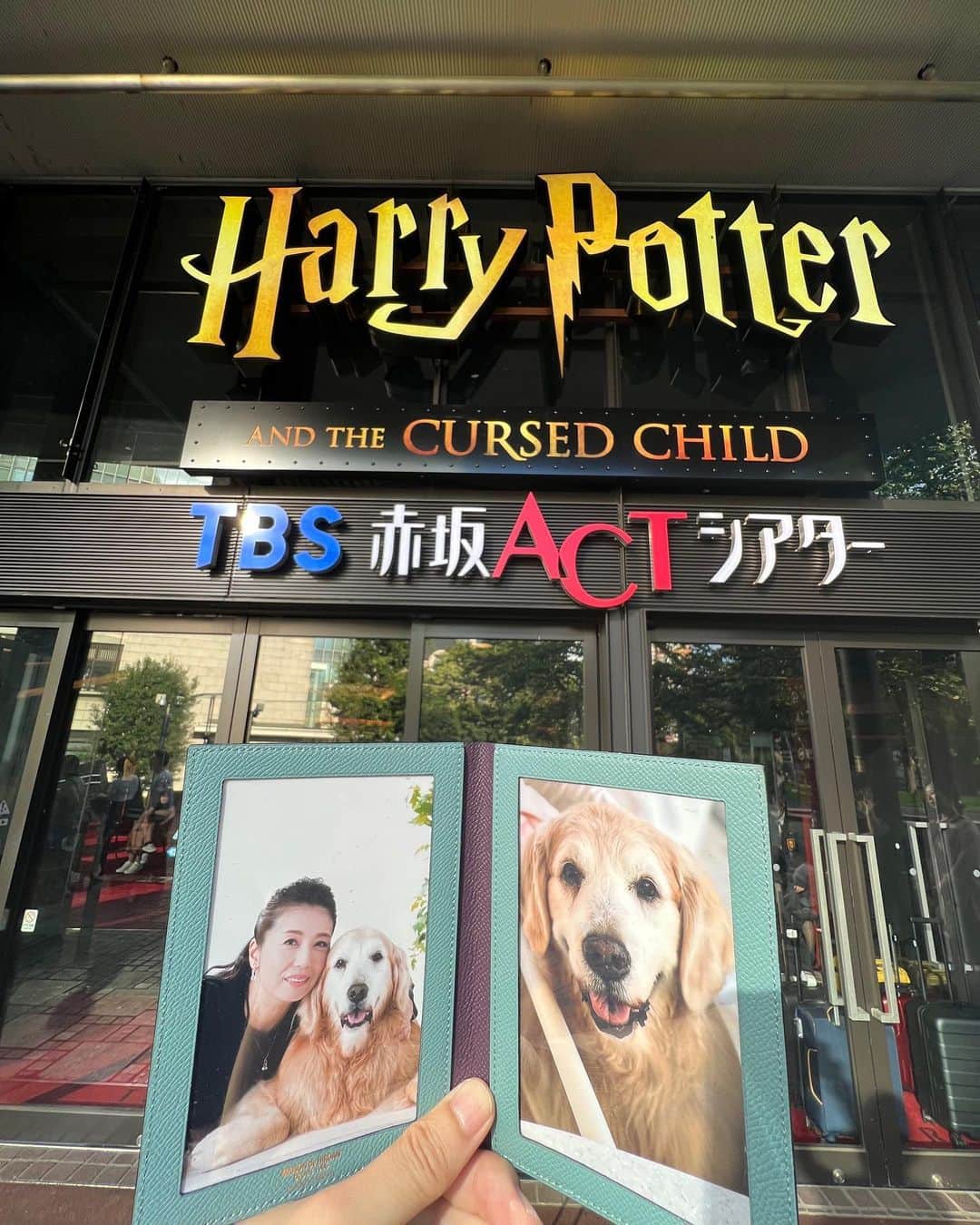 のインスタグラム：「今日はももえ父さんがももえとハリー・ポッターツアーしてきました😄 @hiroan28  #maisondehiroan  #ハリーポッター  #ハリーポッターと呪いの子」
