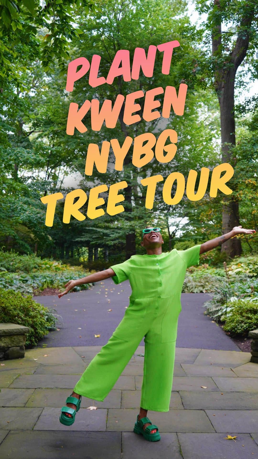 ニューヨーク植物園のインスタグラム：「DAHLING, did you know that there are approximately 30,000 trees at @nybg compared to an estimated 875,480 NYC street trees. So obvi a kween had to do a lil @plantkween tree tour of the Garden!    A lil history on @nycparks Great Trees of NYC:   In 1985, the New York City Department of Parks & Recreation invited citizens across the five boroughs to nominate trees of unusual size, interesting or rare species, unusual form and/or historical significance in The Great Tree Search. Now after over 35 years, it is time to create a new list of Great Trees to be featured in an interactive city-wide map, representing the incredible diversity and scale of New York City’s urban forest. It’s time for a new search, HUNNY!   The Horticultural Team at NYBG selected its top five contenders across the collections to be considered, including the “Mother Tree” that is over 200 years old!   So let’s dive into tha lushness 🌳  👓 @beaconscloset  🥼 @kkco  🩴 @buffaloshoes  🎥 @meredith.b2」