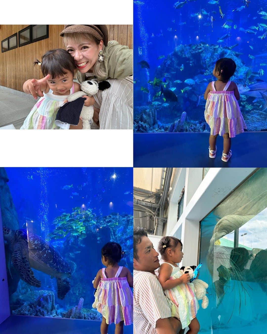 AYAさんのインスタグラム写真 - (AYAInstagram)「_ 2日目は初めての鳥羽水族館  最近YouTubeで イルカショー見るのに ハマってる詩珠はイルカショー🐬 なくて残念やったけど ジュゴンやセイウチ初めて見る 海の生き物に興味津々 (大きさにちょっと引いてたけどw)  大好きなペンギン🐧は 大喜びで🐧とお話ししてたし 🐢見たらおっきい声でturtle！ って言ってたしww  水族館は大人も楽しくて癒されるから またいろんなところの水族館 行きたいなぁ〜〜」9月16日 21時28分 - a.y.hana_12o6