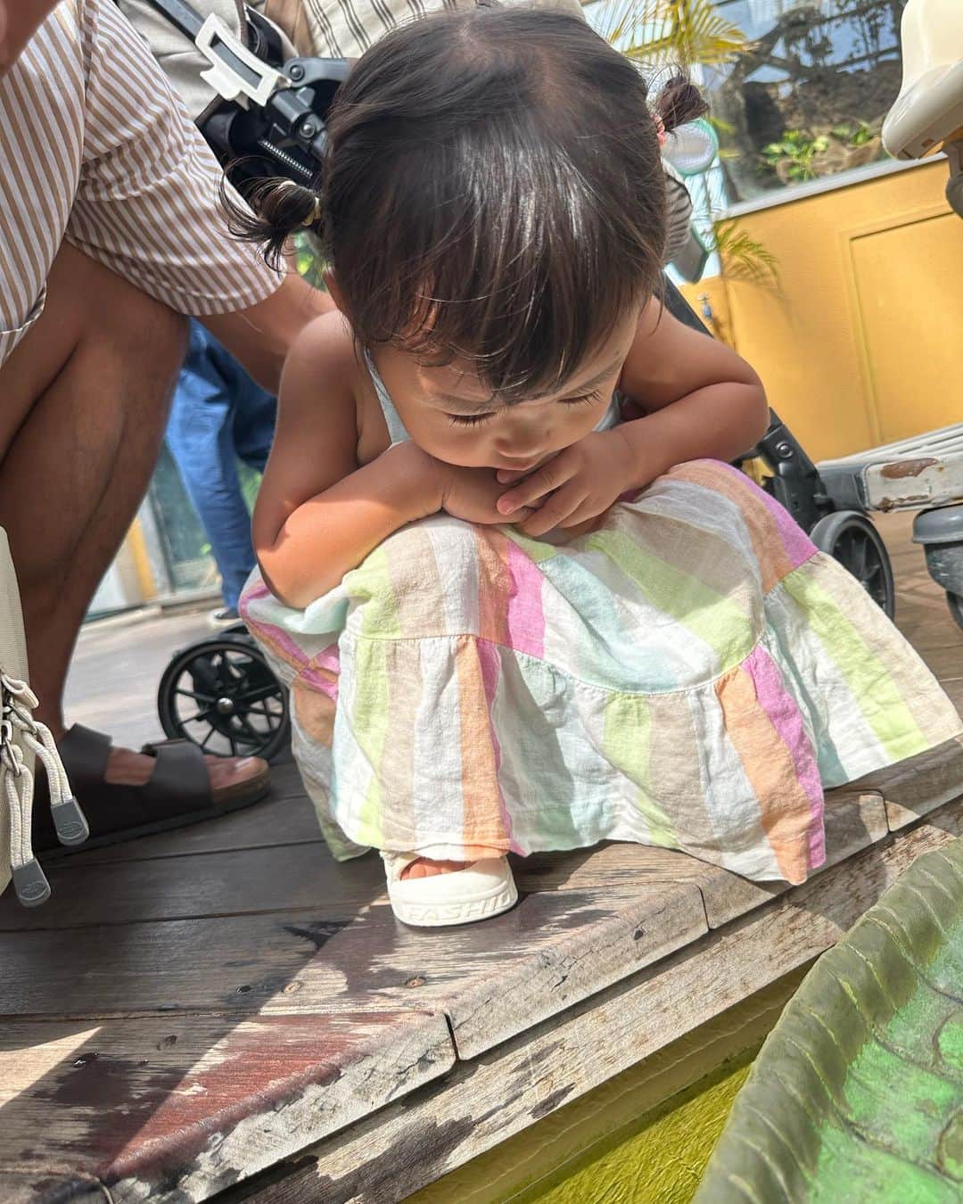 AYAさんのインスタグラム写真 - (AYAInstagram)「_ 2日目は初めての鳥羽水族館  最近YouTubeで イルカショー見るのに ハマってる詩珠はイルカショー🐬 なくて残念やったけど ジュゴンやセイウチ初めて見る 海の生き物に興味津々 (大きさにちょっと引いてたけどw)  大好きなペンギン🐧は 大喜びで🐧とお話ししてたし 🐢見たらおっきい声でturtle！ って言ってたしww  水族館は大人も楽しくて癒されるから またいろんなところの水族館 行きたいなぁ〜〜」9月16日 21時28分 - a.y.hana_12o6