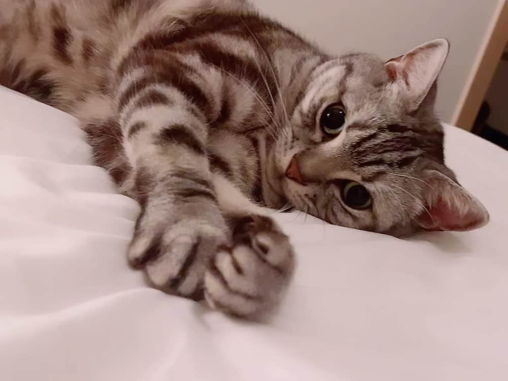 みひろのインスタグラム