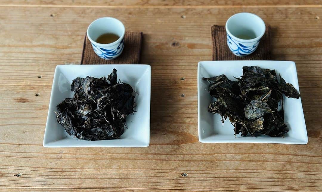 小雪さんのインスタグラム写真 - (小雪Instagram)「NHK Eテレ 「小雪と発酵おばあちゃん」 次回は明日、日曜日18:00よりオンエアです。  今回は、愛媛県で「石鎚黒茶」の作り方を教えていただきました。 幻の発酵茶と言われているそうです。 是非ご覧ください。  【放送内容】 初回放送日: 2023年9月17日18:00〜  今回は、世界的に見てもかなり珍しいという、お茶です。２度の発酵を経て生み出されるもので、独特の味わいがあります。  飲んでみたんですが、さわやかな酸味（乳酸菌も豊富）が、なんとも美味！でした。今は失われてしまった集落で細々と作られてきたお茶で、これを近隣の有志が受け継ぎ、守り続けているのです。そのグループの皆さんを取材しました。道具を一から手づくりするなど、ここまでの道のりには相当な苦労があったそうです。発酵のメカニズムについては専門家も首をかしげていて、ミステリアスなお茶でもあるんですよ。  #NHKEテレ #小雪と発酵おばあちゃん  #発酵」9月16日 21時34分 - koyuki_official