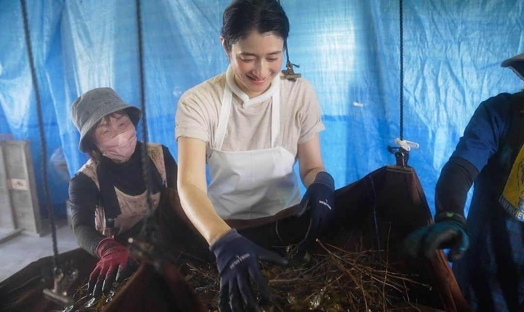 小雪さんのインスタグラム写真 - (小雪Instagram)「NHK Eテレ 「小雪と発酵おばあちゃん」 次回は明日、日曜日18:00よりオンエアです。  今回は、愛媛県で「石鎚黒茶」の作り方を教えていただきました。 幻の発酵茶と言われているそうです。 是非ご覧ください。  【放送内容】 初回放送日: 2023年9月17日18:00〜  今回は、世界的に見てもかなり珍しいという、お茶です。２度の発酵を経て生み出されるもので、独特の味わいがあります。  飲んでみたんですが、さわやかな酸味（乳酸菌も豊富）が、なんとも美味！でした。今は失われてしまった集落で細々と作られてきたお茶で、これを近隣の有志が受け継ぎ、守り続けているのです。そのグループの皆さんを取材しました。道具を一から手づくりするなど、ここまでの道のりには相当な苦労があったそうです。発酵のメカニズムについては専門家も首をかしげていて、ミステリアスなお茶でもあるんですよ。  #NHKEテレ #小雪と発酵おばあちゃん  #発酵」9月16日 21時34分 - koyuki_official