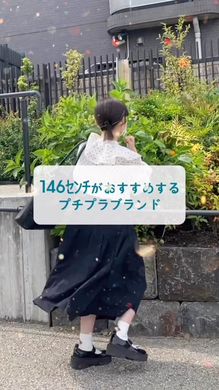 こねねこのインスタグラム