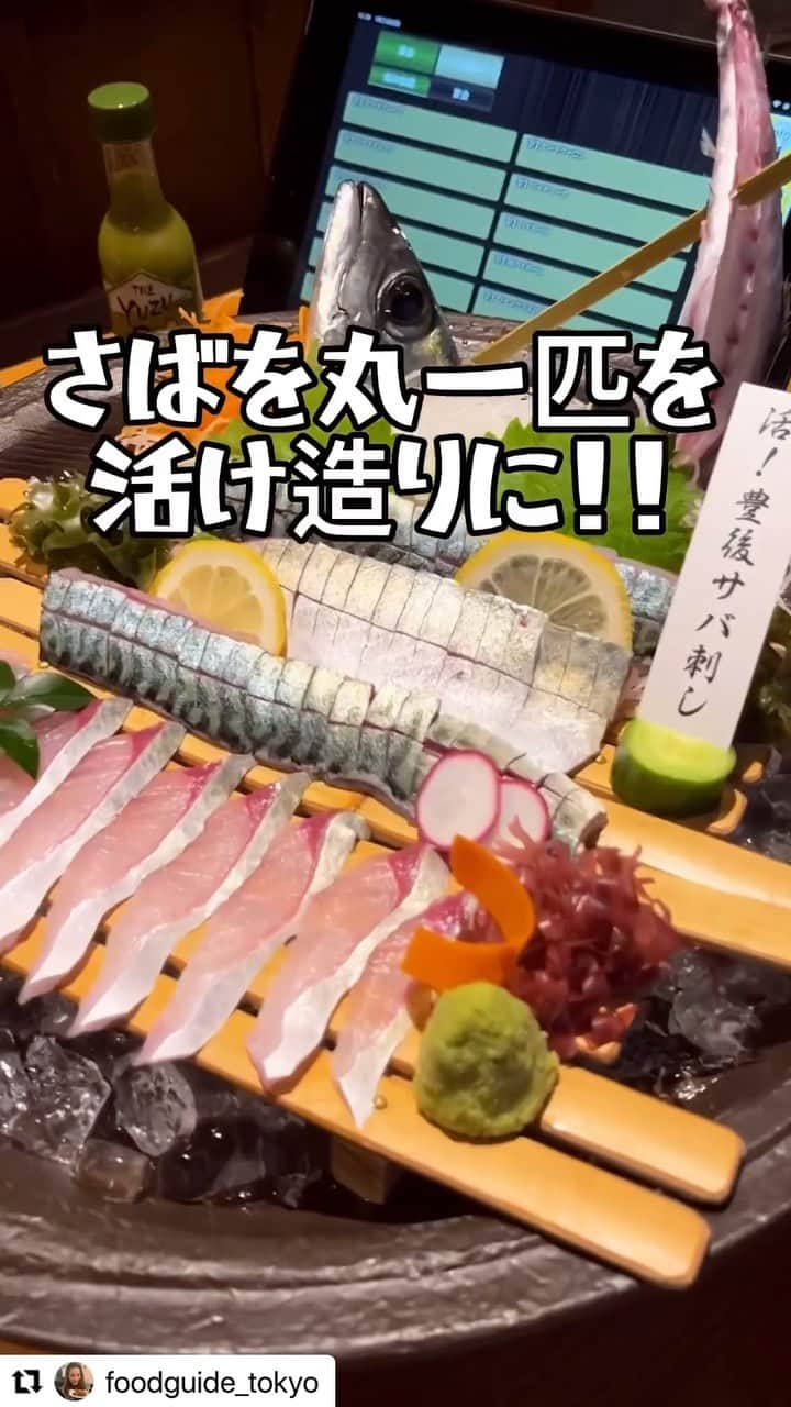 九州熱中屋のインスタグラム：「@foodguide_tokyo 様にご来店いただいた際のお写真です♪ 活鯖の魅力をお届けいただきありがとうございます😊 またのご来店心よりお待ちしております。  #九州熱中屋 #熱中屋 #生サバ #活サバ #サバ刺し #海鮮 #居酒屋 #鯖 #豊後サバ #サバ活 #サバlive」