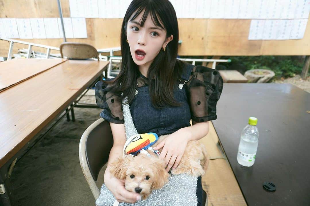 村山優香のインスタグラム：「もあこのお守り買おうとしたのに買えなかったので また今度買います」