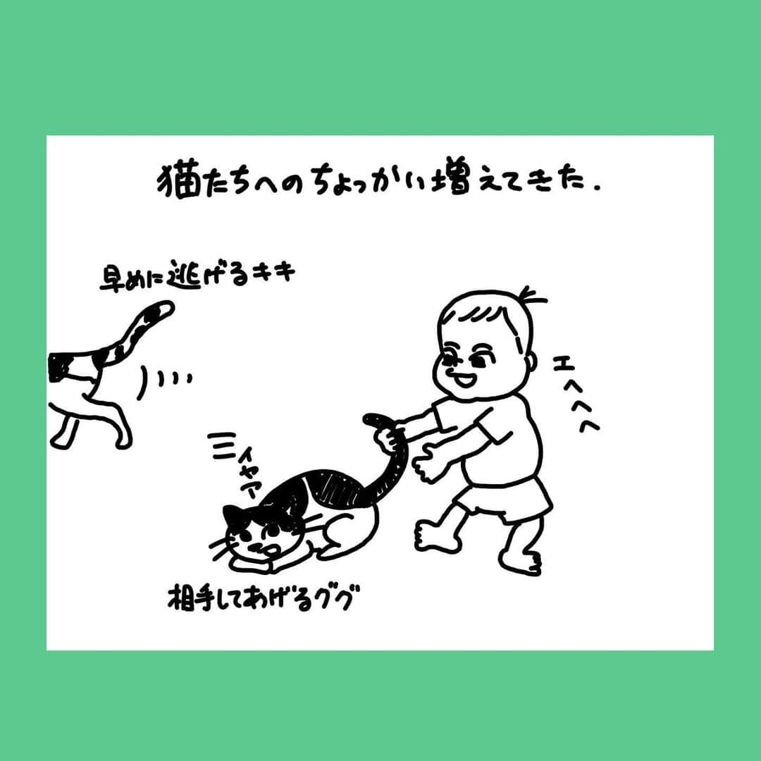 秋山寛貴さんのインスタグラム写真 - (秋山寛貴Instagram)「●👶🏻  猫たちのしっぽを掴みたがります。  #引っ張りすぎてる時は怒ってやめさせる #いくらやられても逃げようとはしないググ #鳴いて忠告はするが #反撃などはしない #優しい #弟の相手をしてあげてるみたい #ありがとうググ #キキはめちゃ避難早い #息子日誌 　 #絵#イラスト#落書き#ラクガキ#漫画#マンガ#美術#アート#ドローイング#アプリ#medibangpaint#illustration#manga#art#artwork#arthubfriends#赤ちゃん#子供#猫」9月16日 22時18分 - hanaconoakiyama