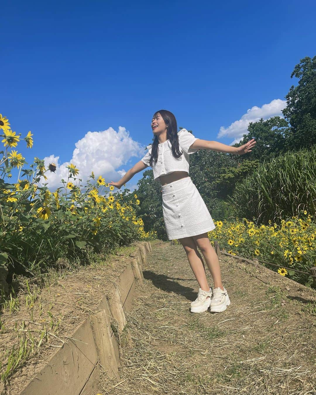 岡村茉奈のインスタグラム：「. あまり載せない全身写真📷🤍💭  ひまわりからパワー注入してる🌻💉  #sunflower #ひまわり #ひまわり畑 #向日葵  #ヒマワリ #summer #夏 #해바라기 #flower #花 #ひまわり🌻 #彼女感#太陽の花 #デート  風#are#flowers#instagram#followｍe」