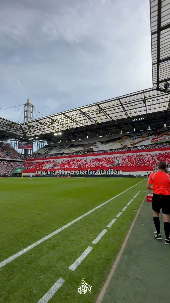 1.FCケルンのインスタグラム：「Celebrating 100 years of history in Müngersdorfer Stadion 🤍🏟️✨ ___ #effzeh」