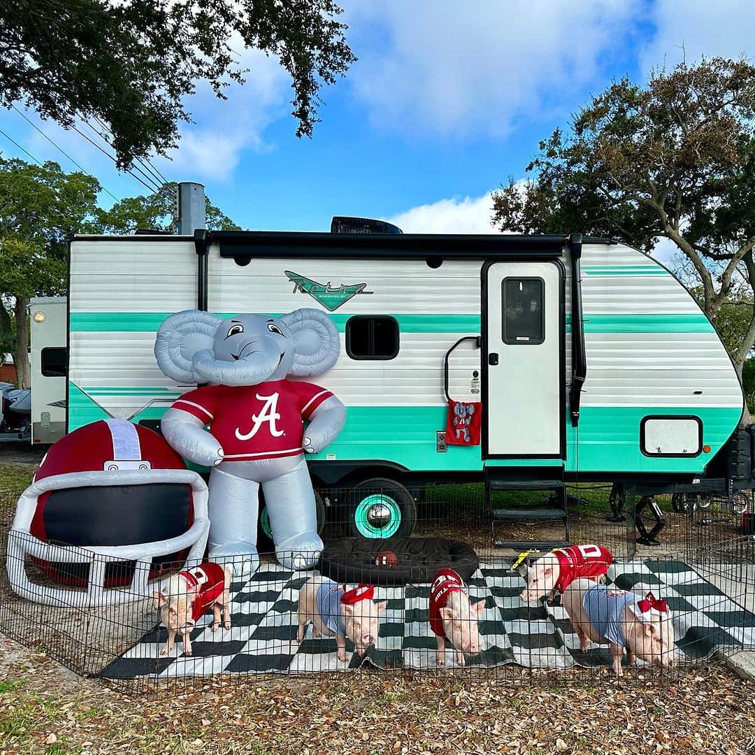 Priscilla and Poppletonのインスタグラム：「Silly Pop said after last week Bama needs him, so we ROLL TIDE ROLLED into Tampa and he’s suited up and ready for the game. Posey and I are ready to cheer. Can we get a ROLL TIDE?🐷🅰️🏈 #happybirthdaymom #putmeincoach #PiggyPenn #PoseyandPink #PrissyandPop」