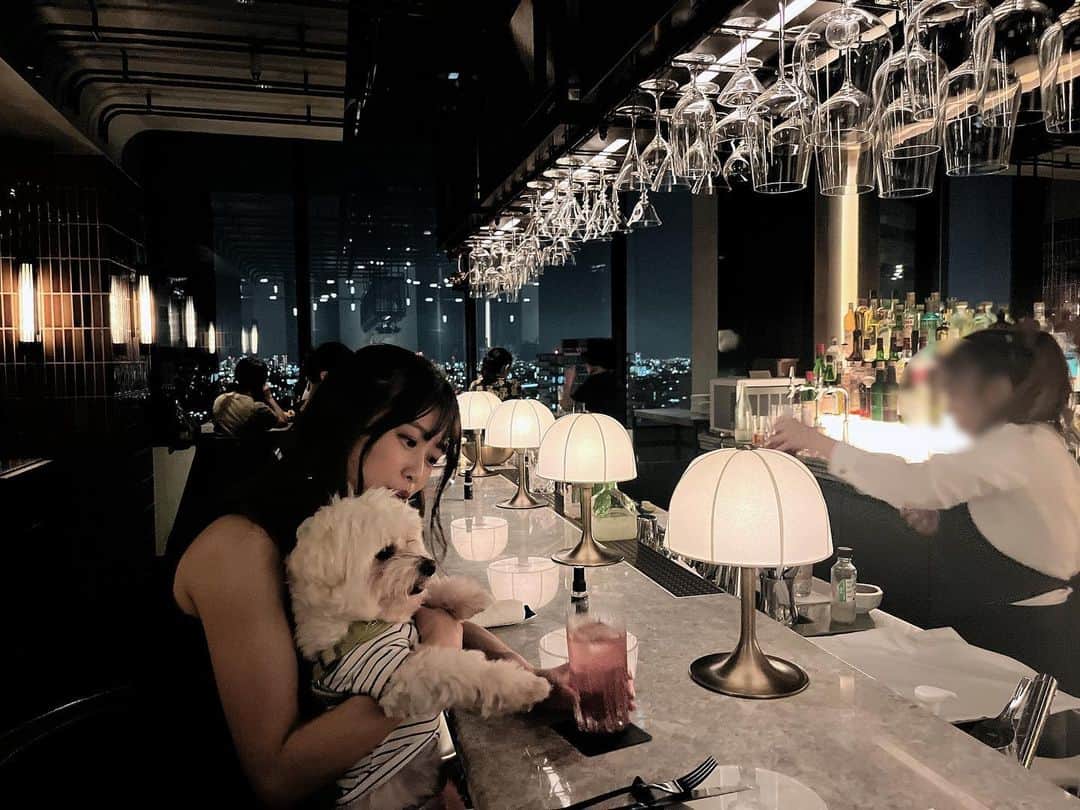 のインスタグラム：「わんちゃんも行けるBAR🐶🍸」