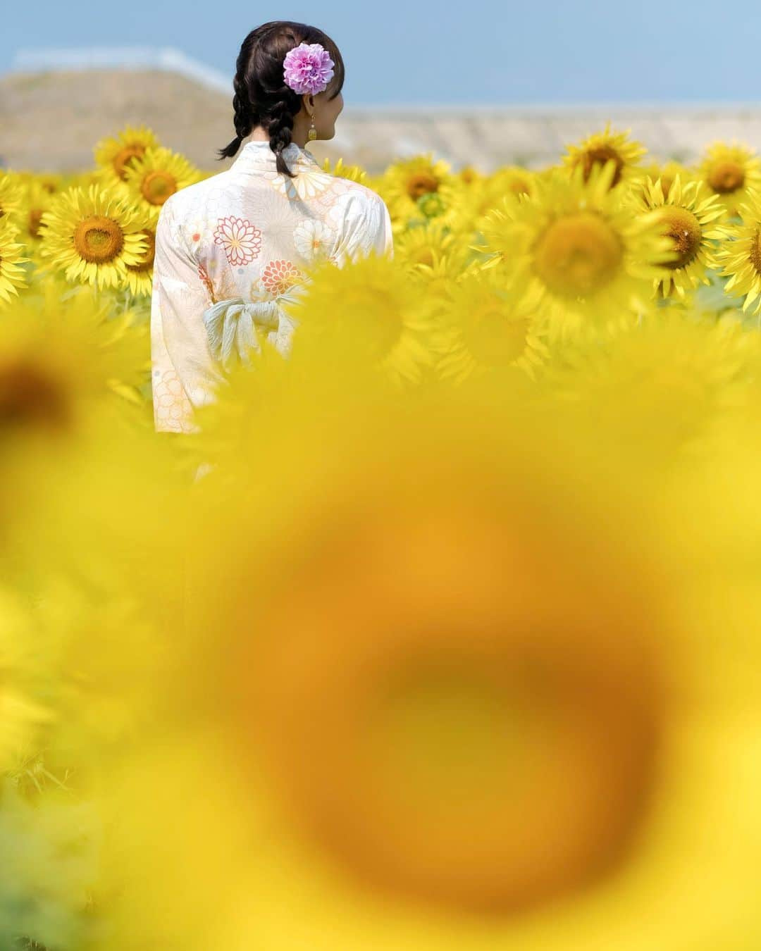 安藤まいさんのインスタグラム写真 - (安藤まいInstagram)「🌻  #柳川ひまわり園 #柳川#ひまわり#ひまわり畑#夏休み#ポトレ#ポトレ福岡#ポートレート#福岡ポトレ#撮影会#福岡モデル#被写体#カメラ好きな人と繋がりたい#ポトレ女子#ポトレ好きな人と繋がりたい#福岡旅行#夏の思いで🍉 #浴衣#浴衣女子 #浴衣ポートレート #安藤まい#イベントコンパニオン#レースクイーン#博多女子」9月16日 23時09分 - mai_ando0407