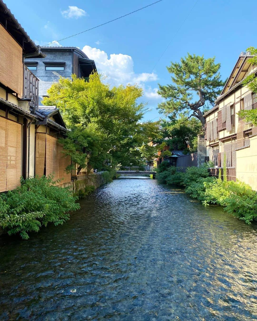 安達雅哉さんのインスタグラム写真 - (安達雅哉Instagram)「夏の思い出。京都スイーツ編。 京都感満載の抹茶パフェと数十年ぶりのあぶり餅！ やっと食べに行けた！  まさか4歳くらいまで過ごした家が今宮神社まで徒歩数分の距離だったとは…  #わらびもちパフェ  #ぎをん小森  #あぶり餅  #かざりや  #今宮神社」9月16日 23時17分 - adachimasaya