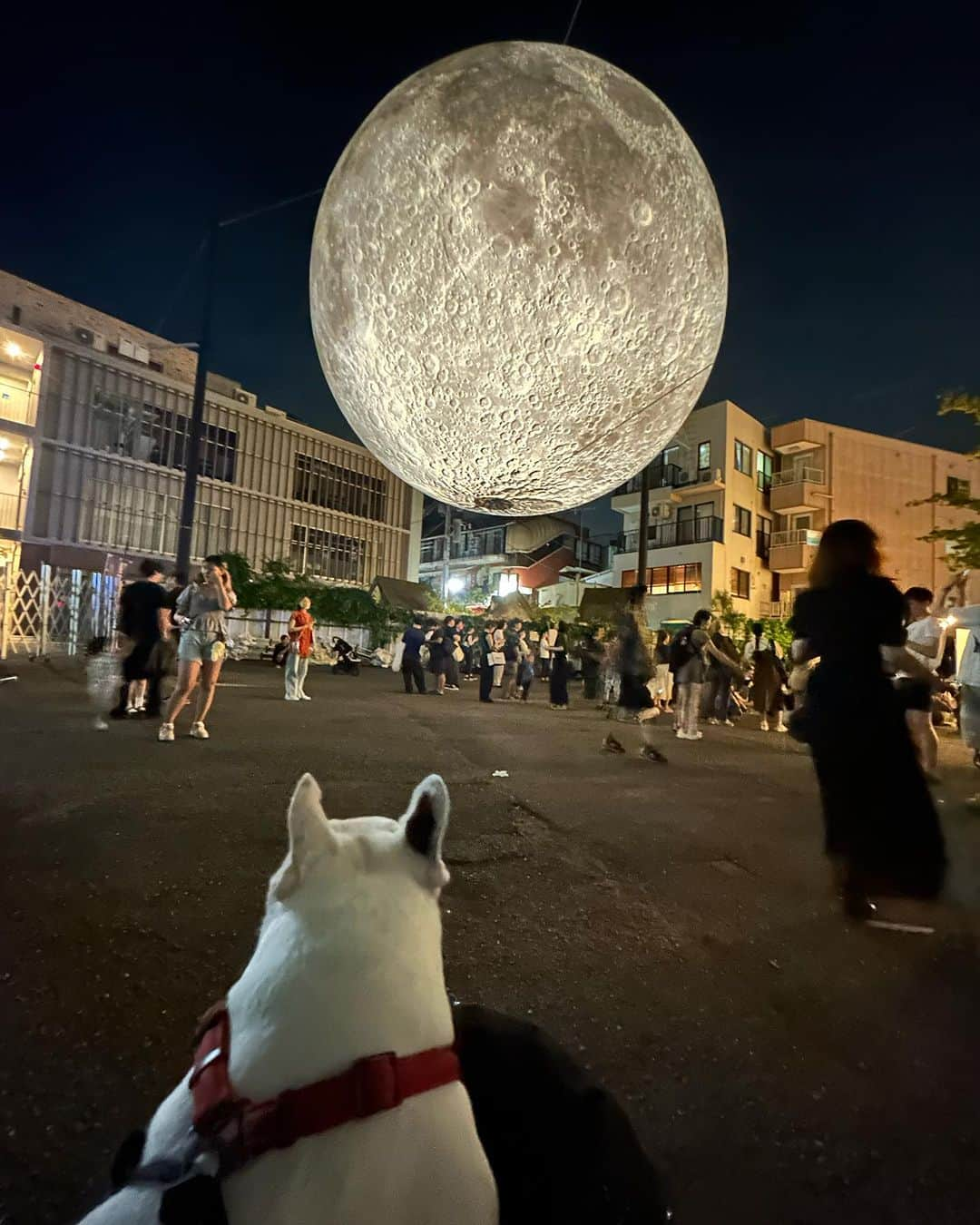 なべやかんのインスタグラム