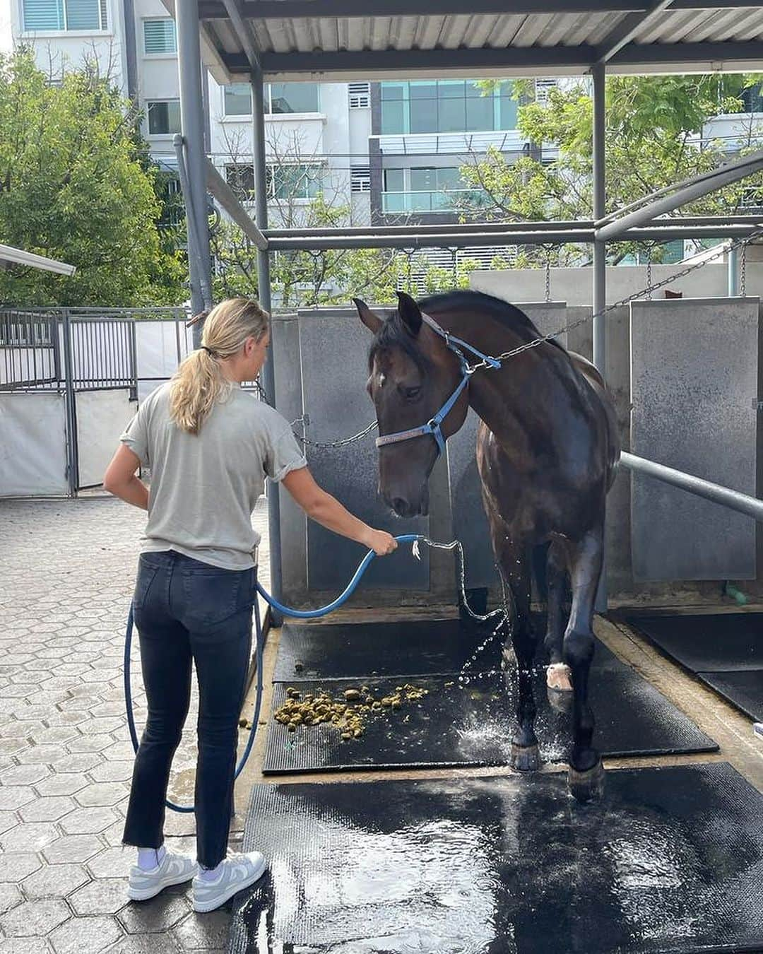 ビクトリア・アザレンカさんのインスタグラム写真 - (ビクトリア・アザレンカInstagram)「“There is no secret so close as that between a rider and her horse.”  We love that smile of yours, @vichka35 ! 🥰🐎🐴💜🇲🇽  #WTA #GDLOpenAKRONxSantander #WTA1000 #ElMejorTenisDelMundo」9月17日 1時30分 - vichka35