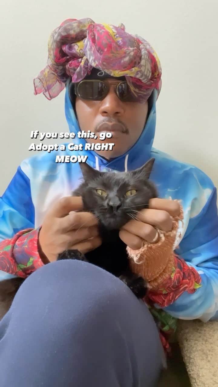 MSHO™(The Cat Rapper) のインスタグラム：「SHUT UP!! Stop what you doing and go ADOPT A CAT RIGHT MEOW!!! This is YOUR SIGN!!!!! #TheCatRapper #CatMan #CatDad #CatMom #CatLady #Adopt #BlackCat #MoGang」