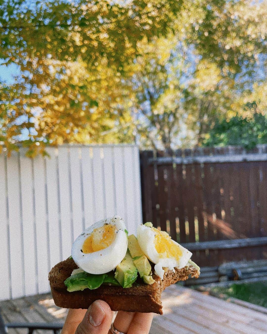 吉田知那美のインスタグラム：「・ 🥑🥚🥖☕️🍂🍁  これで半日はだいたいハッピー。だいたい元気。  #朝ごはん #トースター使うと火災報知器が鳴る家 #繊細ハウス」