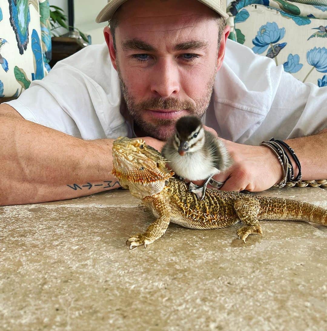 クリス・ヘムズワースのインスタグラム：「Just patiently waiting my turn #lizardrides」