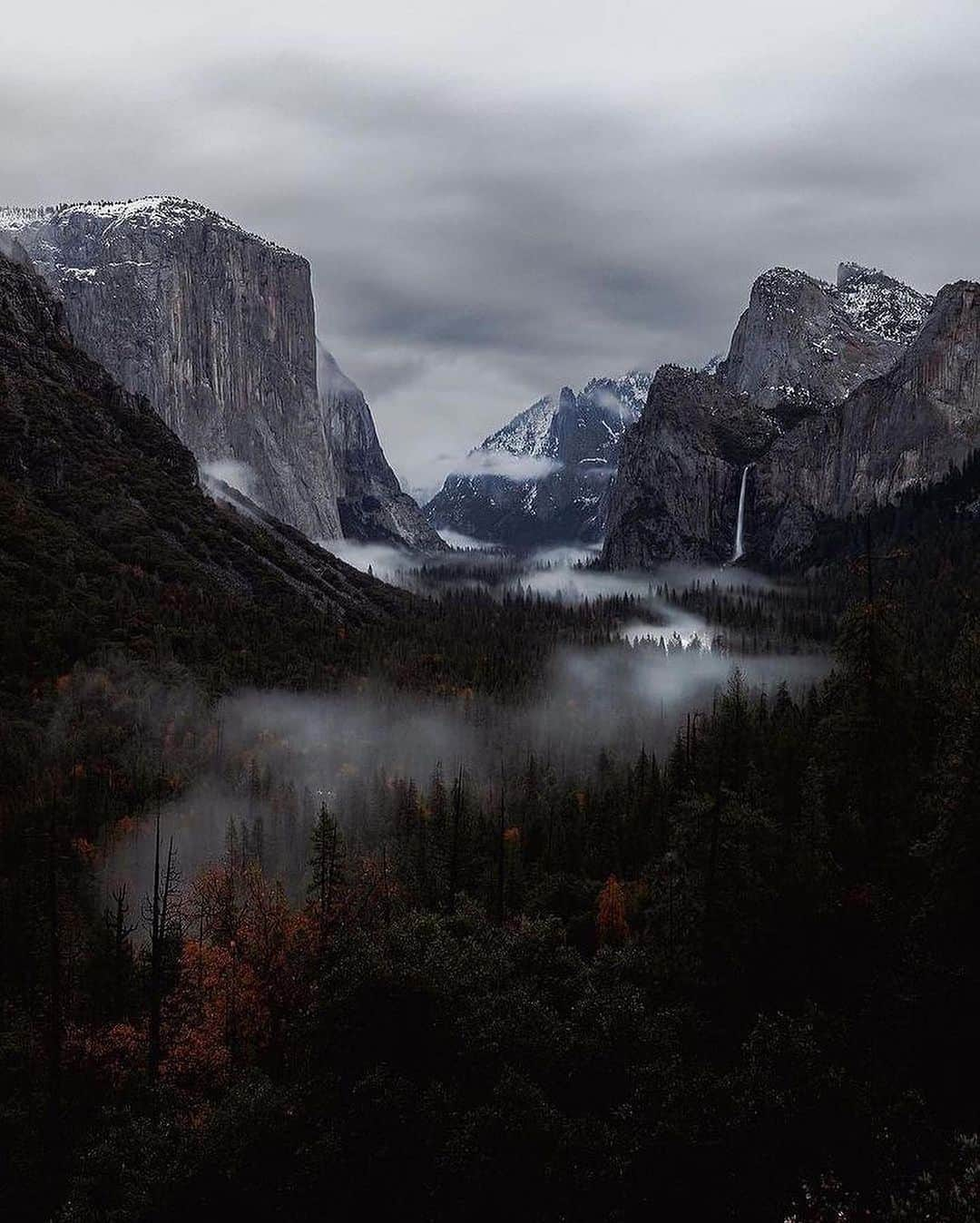 Live To Exploreさんのインスタグラム写真 - (Live To ExploreInstagram)「Discovering our planet's greatest treasures! 😍⛰️  💡National parks are areas set aside by a national government for the preservation of the natural environment. They are often made to protect the animals that live inside them or the land itself.   Sharing is caring! Spread the travel inspiration by sharing this post with your fellow explorers! 🥰  🎥 Credits to: 1. @calibreus 📍Banff National Park 2. @rob.phillips.photography 📍Grand Teton National Park 3. @benjobiwan 📍Grand Teton National Park 4. @keyvan.yasami 📍Banff National Park 5. @johnleerskov 📍Yosemite National Park  #nationalpark #yosemitenationalpark #banffnationalpark #grandtetonnationalpark #nature」9月17日 6時30分 - welivetoexplore