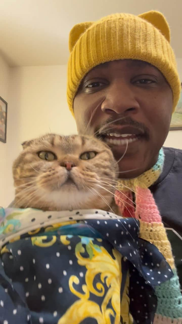 MSHO™(The Cat Rapper) のインスタグラム：「HAPPY CATURDAY!!! We back!! Energized and ready for whatever!!! We love you!!! Where our cat people at!?!? PUT THEM PAWS UP!! It’s time to celebrate!!! Who’s going to wish us “HAPPY CATURDAY” also!?!? It’s OUR DAY!! Cat people let’s go!!!!! How many cats you got!? #Caturday #LilParmesan #TheCatRapper #CatMan #CatDad #CatMom #CatLady #MoGang」