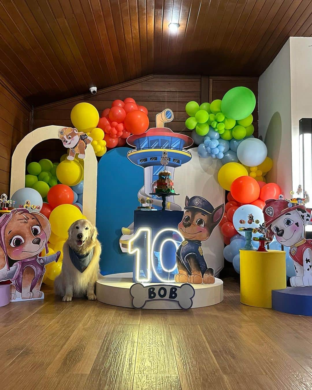 Bobのインスタグラム：「E hoje foi dia de comemorar com os aumigos aqui no @suryapanhotel  Bob 10 anos!🎂🎈 Muita diversão com piscina, trilha e muitas guloseimas  Decoração: @a.festadossonhos  Bolo e decoração de mesa: @meudocefavorito  . #ExpediçõesOlaPet  @olapet.friendly  . Apoio  @elancopetsbr  @avertsaudeanimal」