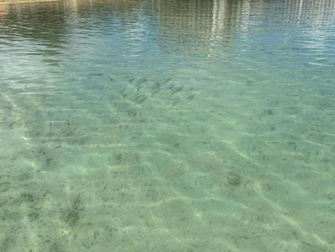 はるちゃんさんのインスタグラム写真 - (はるちゃんInstagram)「Ypao Beach🏝️ ホテルの近くに綺麗なビーチがあるって聞いて朝イチで行ってきた〜！ めっちゃ綺麗だったしタモン地区にホテル取った人はおすすめのビーチ⛱️😚  #ypaobeach #イーパオビーチ #guam #グアム #グアム旅行 #グアムビーチ #guambeach」9月17日 14時28分 - haru_323