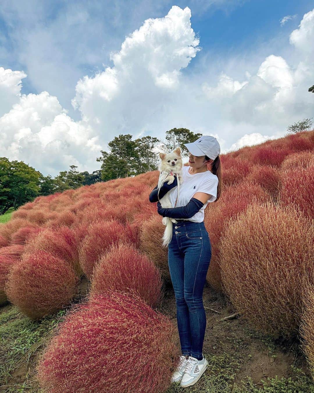 のインスタグラム：「秋探し❤️愛犬とお出かけ🥰  明日9/18はアミーゴさんで撮影会📸  ご予約してくださった皆様、どうもありがとうございます😊  まだまだ暑いと思うのですがお気をつけていらしてください❤️  #小早川怜子 #reikokobayakawa  #カプセルエージェンシー」